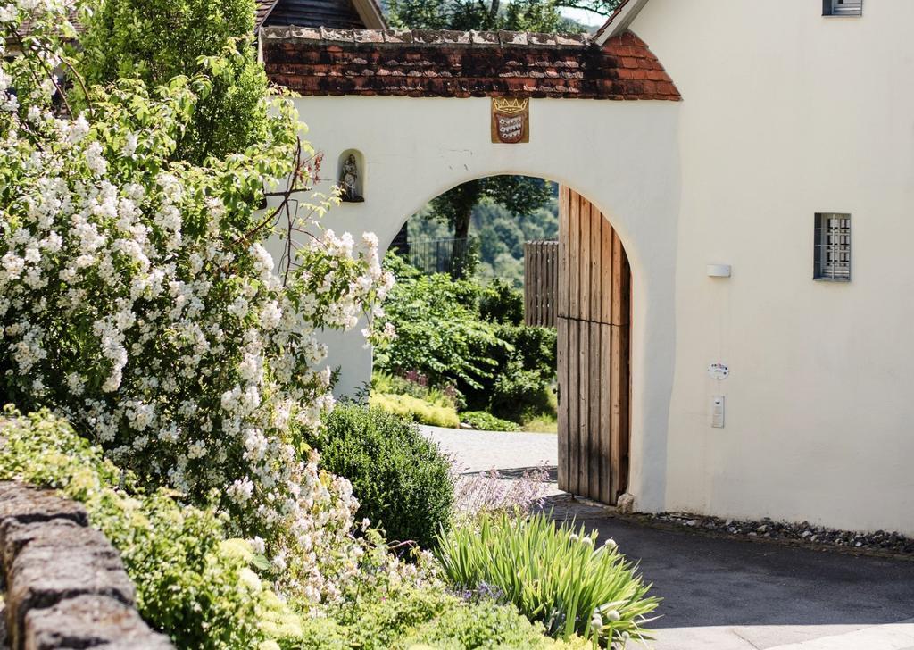 Naturhotel Die Maise - Veranstaltungs- und Tagungshotel Hayingen Exterior foto